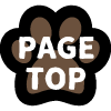Page Top